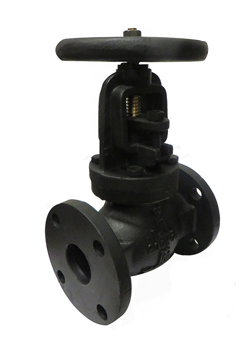 Legend 116-124 T-303 OS & Y Cast Iron Gate Valve Flanged 4